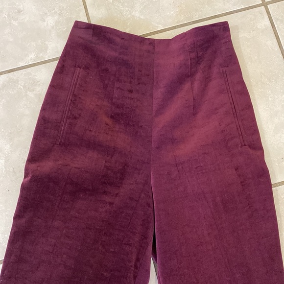 Vintage Velvety Pants - Picture 4 of 7